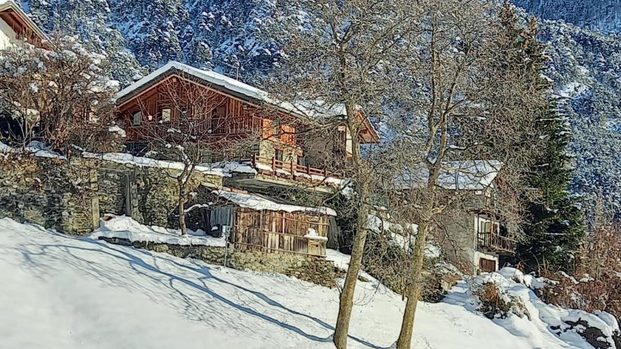 Eco Chalet Maison Dominique Challand-Saint-Anselme Eksteriør bilde